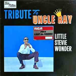 Little Stevie Wonder - Tribute To Uncle Ray
