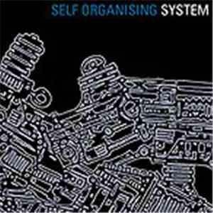 System  - Self Organising System