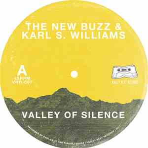 The New Buzz - Valley of Silence