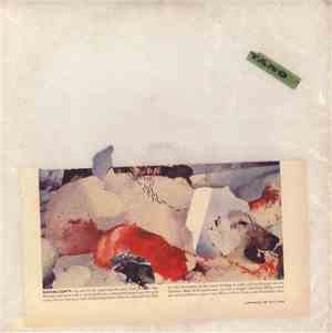 Antony And The Johnsons - Swanlights