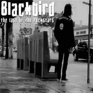 Blackbird  - The Last Of The Rockstars