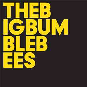 The Big Bumble Bees - The Big Bumble Bees