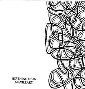 Birthing Nets - Maxillary