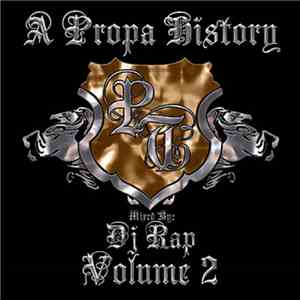DJ Rap - A Propa History Volume 2