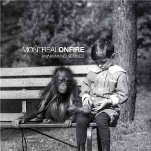 Montreal On Fire -  Anima Mvndi Remixed