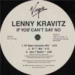 Lenny Kravitz - If You Can't Say No