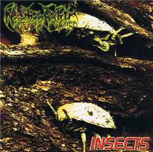 Nyctophobic - Insects