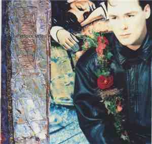 The Associates - Wild And Lonely