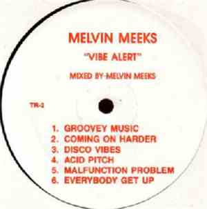 Melvin Meeks - Vibe Alert