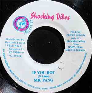 Mr. Pang - If You Hot
