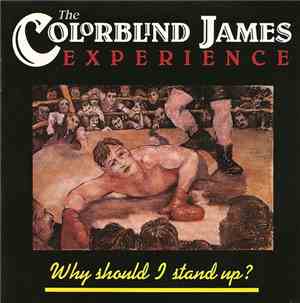 The Colorblind James Experience - Why Should I Stand Up?