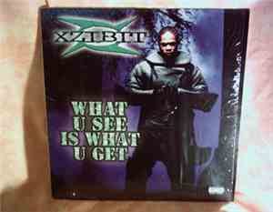 Xzibit - What U See Is What U Get