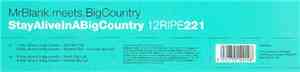 Mr. Blank Meets Big Country - Stay Alive In A Big Country