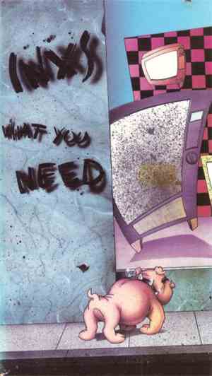 INXS - What You Need