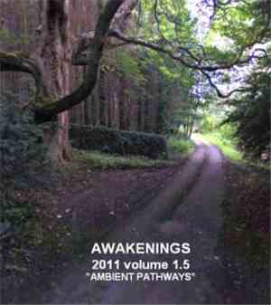 Various - Awakenings 2011 Volume 1.5