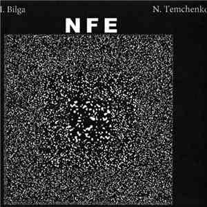 I. Bilga, N. Temchenko - NFE