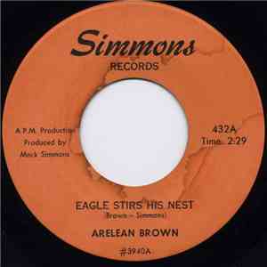 Arelean Brown - Eagle Stirs His Nest