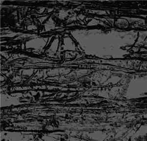 Sleep Column - Black Rope Of Suicide