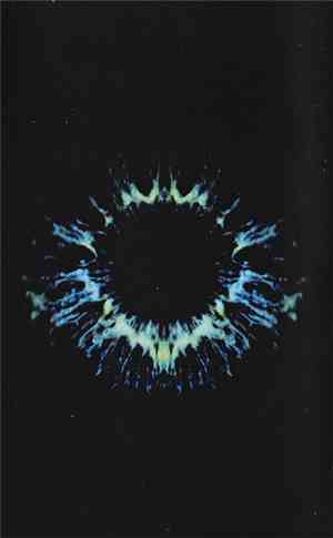 Sophia Loizou - Chrysalis