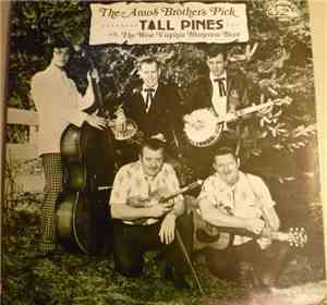 The Amos Brothers - Tall Pines