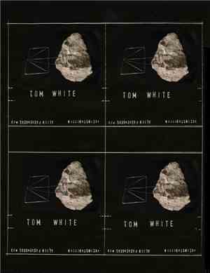 Tom White  - Reconstruction