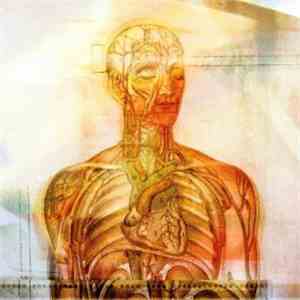 Sea Of Wires - Leaving The Electric Circus