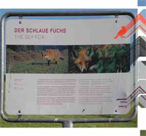 Chris Heenan, Dimitra Lazaridou-Chatzigoga - Der Schlaue Fuchs