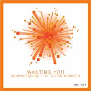 Schwarz & Funk Feat. Storm Marrero - Wanting You