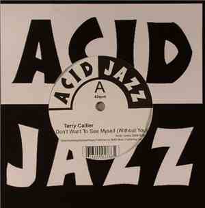 Terry Callier - I Don't Want To See Myself (Without You)