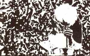 Viscera - Snot