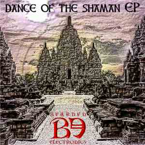 Bearded Electronics - Dance of the shaman