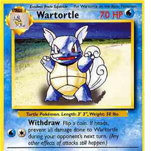 South:!:ast Co ' J~sr. - Wartortle St. Augustine