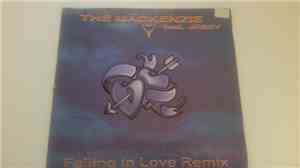 The Mackenzie Feat. Jessy - Falling In Love (Remix)