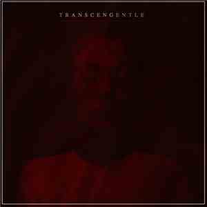 Cairn Elan - Transcengentle