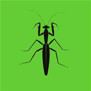 1NC1N - Praying Mantis EP
