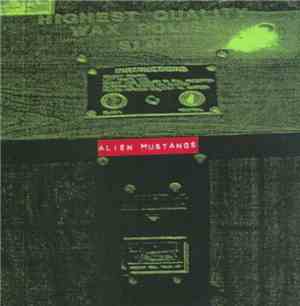 Alien Mustangs - Red Tambourine / Pause