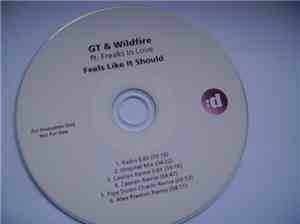 GT & Wildfire  Ft. Freaks In Love - Feels Like It Should