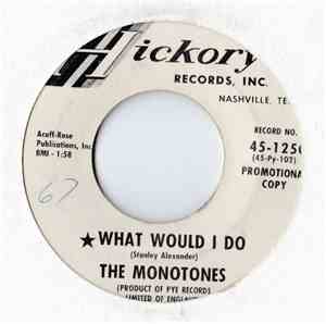 The Monotones  - What Would I Do / Is It Right