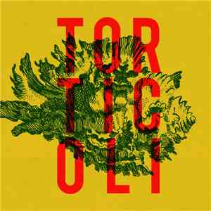 Torticoli - Torticoli