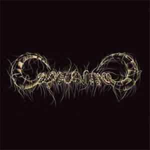 Capricorns - Capricorns