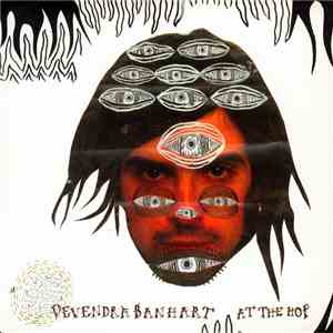 Devendra Banhart - At The Hop
