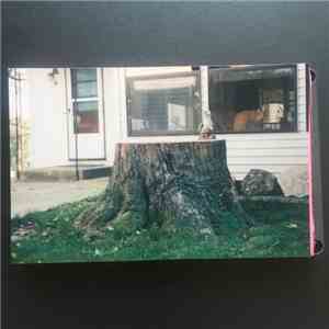 Mike Rep And The Quotas - A Tree Stump Named Desire