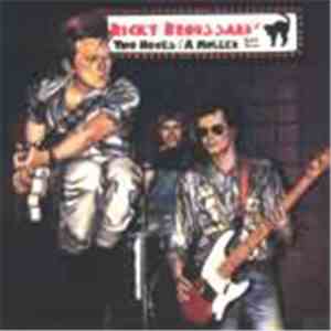 Ricky Broussard's Two Hoots & A Holler - No Man's Land