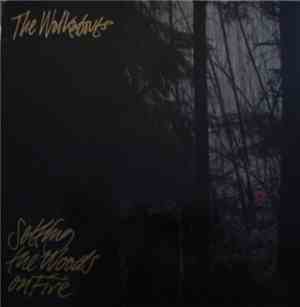 The Walkabouts - Setting The Woods On Fire