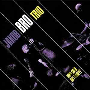 Jakob Bro Trio - Who Said Gay Paree?