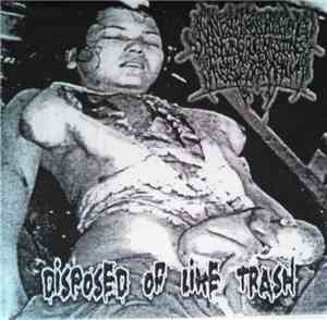 Agonizing Excess Bowel Acid Dissolving The Intestines Causing Massive Organ Trauma - Disposed Of Like Trash