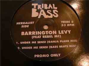 Barrington Levy - Under Me Sensi