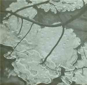 M.B. - Armaghedon
