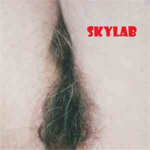 Rogério Skylab - SKYLAB