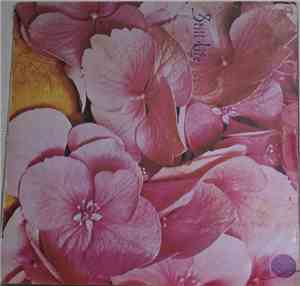 Still Life  - Still Life